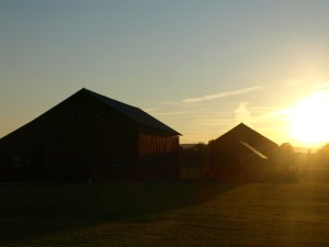 Late summer/Early Fall, Sunderland, MA
